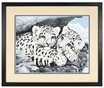 DMS91079 Snow Leopard Cubs