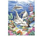 DMS91112 Pencil Dolphins in the Sea