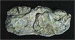 WOOC1242 Washed Rock Mold
